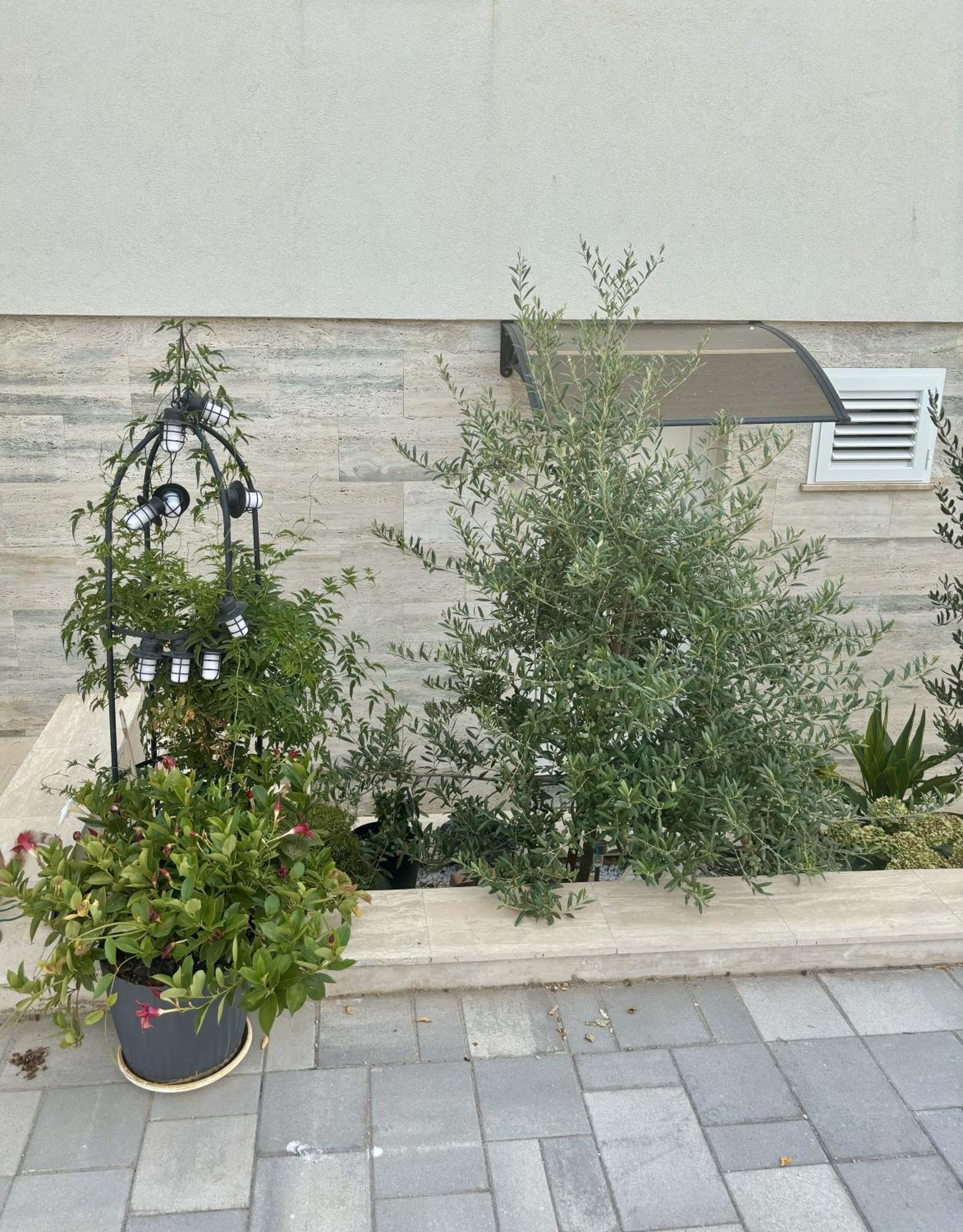 Vila Regina Apartment Rex With Swimming Pool Jezera Exterior foto