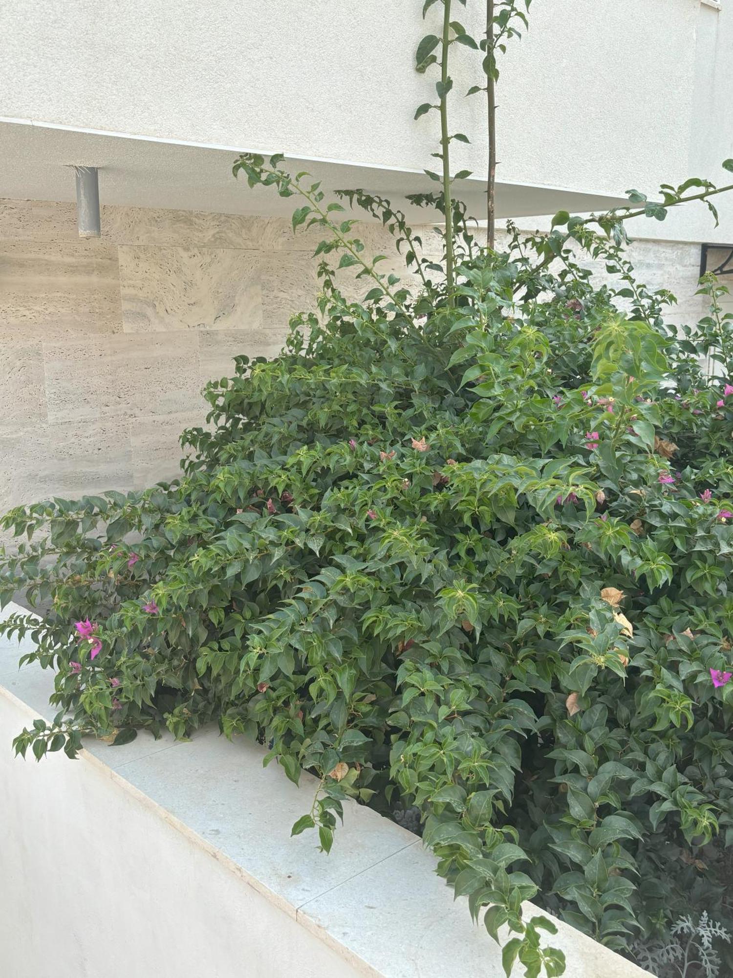 Vila Regina Apartment Rex With Swimming Pool Jezera Exterior foto